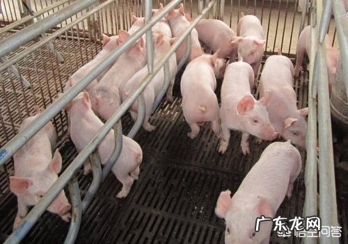 人睡觉后怎么会有时候呼吸急促,有时候呼吸正常呢