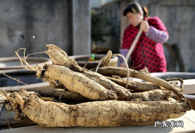 葛根粉是什么对身体有什么好处吗