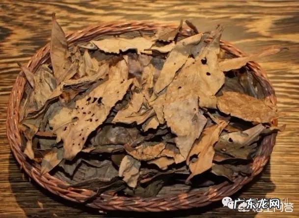 喝青柑蒲公英根茶有什么好处