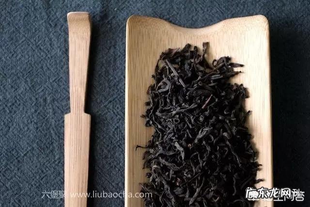 喝青柑蒲公英根茶有什么好处