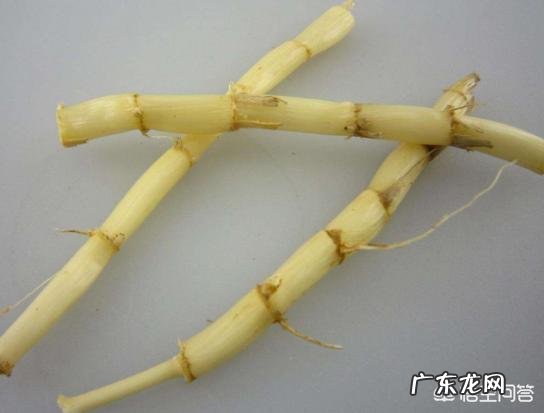 为什么现在得尿毒症的人特别多?和饮食有关系吗?