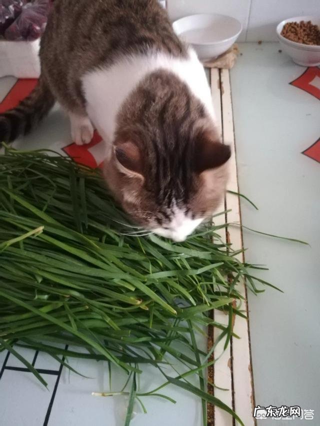 为什么现在得尿毒症的人特别多?和饮食有关系吗?