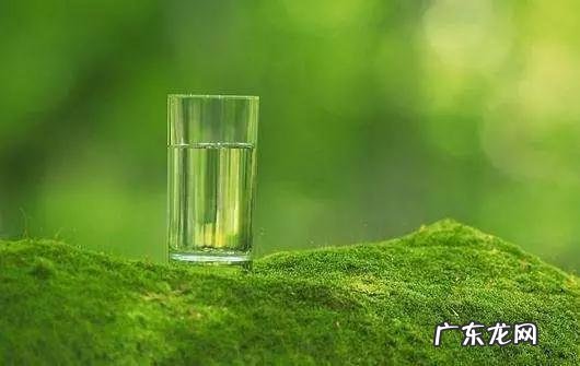 为什么广东人吃辣会上火，要喝凉茶北方一带的却不会，为什么