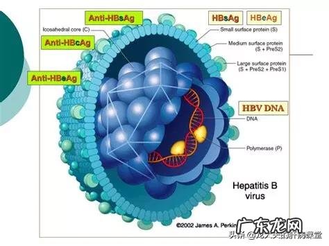 我老公乙肝吃药期我怀孕了孩子能要吗