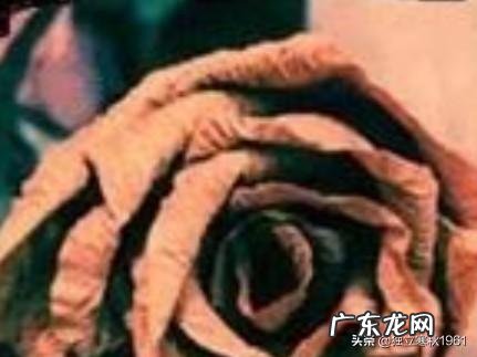 “大作家”方方是不是精致的利己主义者?