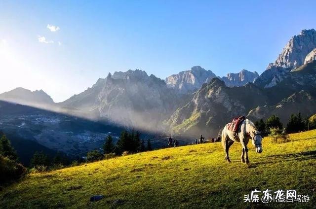 抽烟喝酒,然后嗓子就痛了,吃什么好
