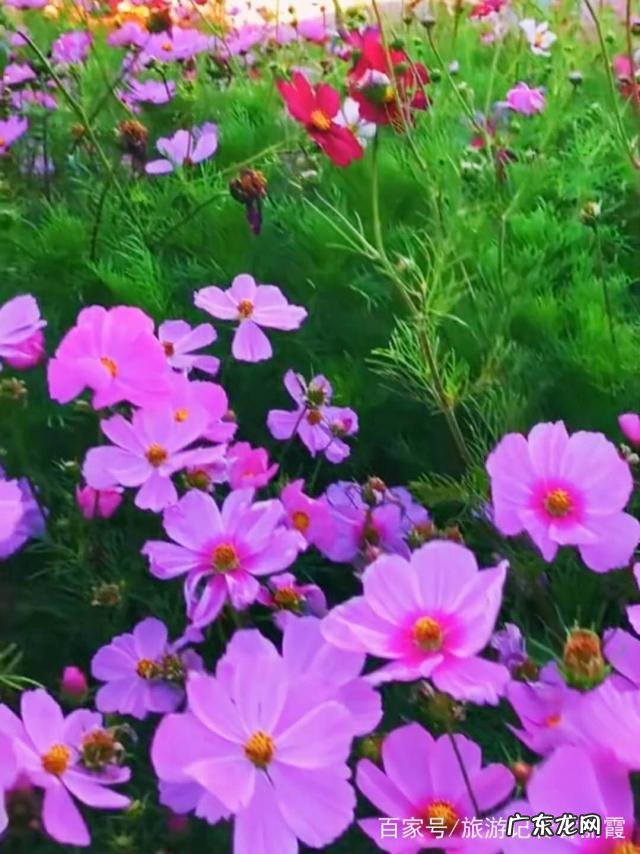 能分享一下你在减肥路上的心酸和快乐吗