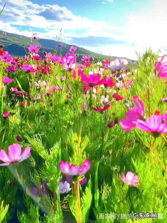 能分享一下你在减肥路上的心酸和快乐吗