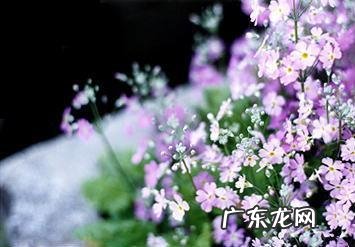 能分享一下你在减肥路上的心酸和快乐吗