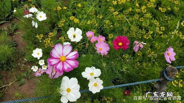 能分享一下你在减肥路上的心酸和快乐吗