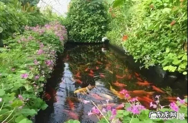 你认为35岁后的女人应该创业,还是继续打工为什么