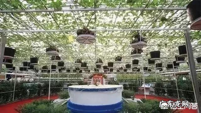 你认为35岁后的女人应该创业,还是继续打工为什么