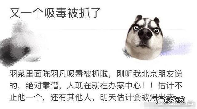 陈羽凡吸毒被抓会被判多少年呢还有以后吗