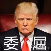 如何评价伊万卡·特朗普的颜值？