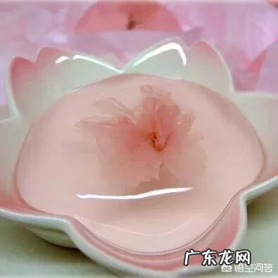 园子里的樱花开了,有谁知道樱花能做什么美食吗