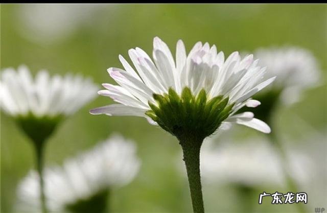 有人说“人,结婚后,和老人分开住,是最好的选择”你怎么看?