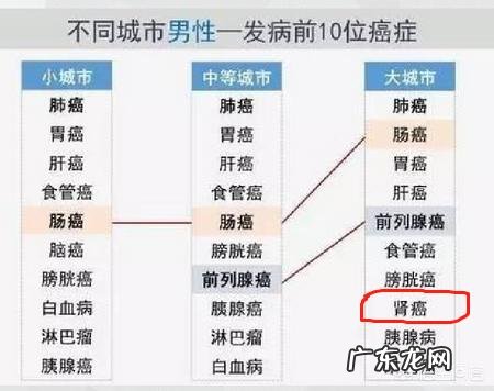 肾癌是种富贵病?哪些生活方式会增加患肾癌的几率?