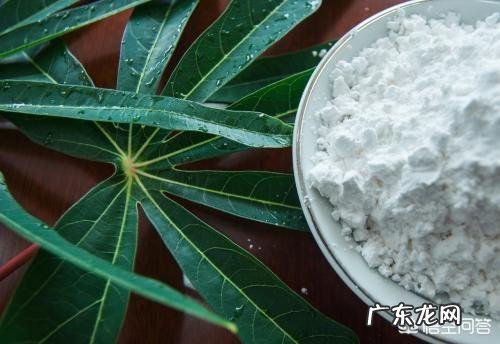 食用木薯变性淀粉的发展与应用