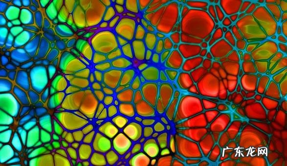 如何有效控制高血压、高血脂