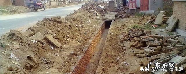 为什么动物吃生肉不会生病，但是一受伤却容易感染造成死亡