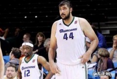 有人知道NBA历史上，谁的体重是最大的吗？