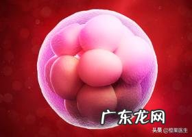 怀孕三个月,吃什么水果比较好