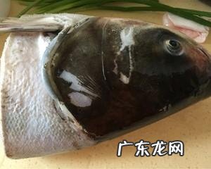 外出旅游,在出发地报团还是到目的地报团,哪种方法比较好