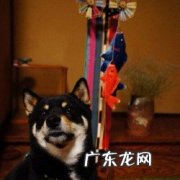 怎样才能长高我女儿七岁？