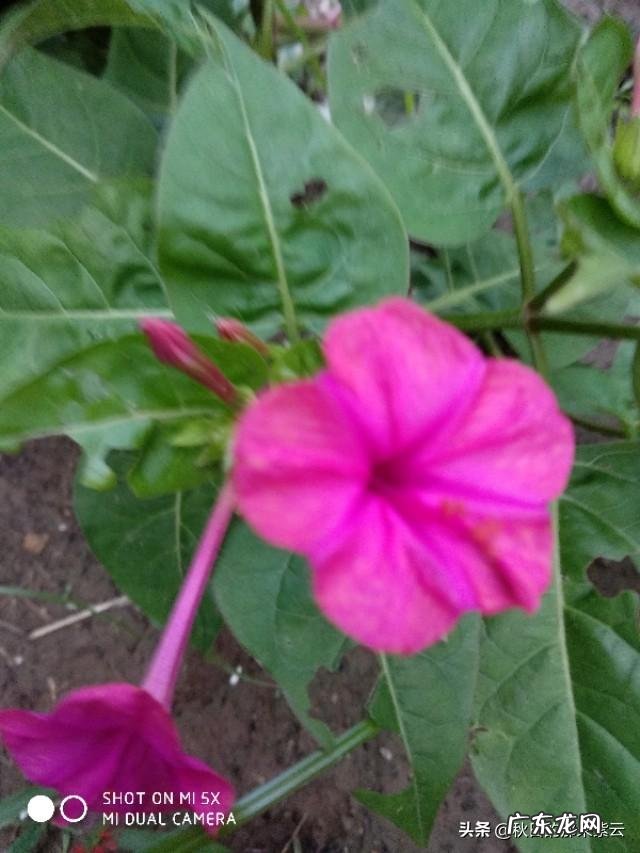 结婚了你愿意和家里老人同住吗?或者你愿意和儿子儿媳同住吗?