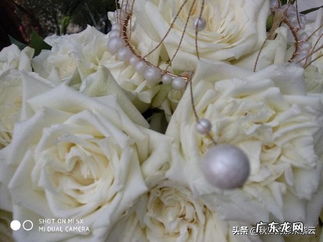 结婚了你愿意和家里老人同住吗?或者你愿意和儿子儿媳同住吗?