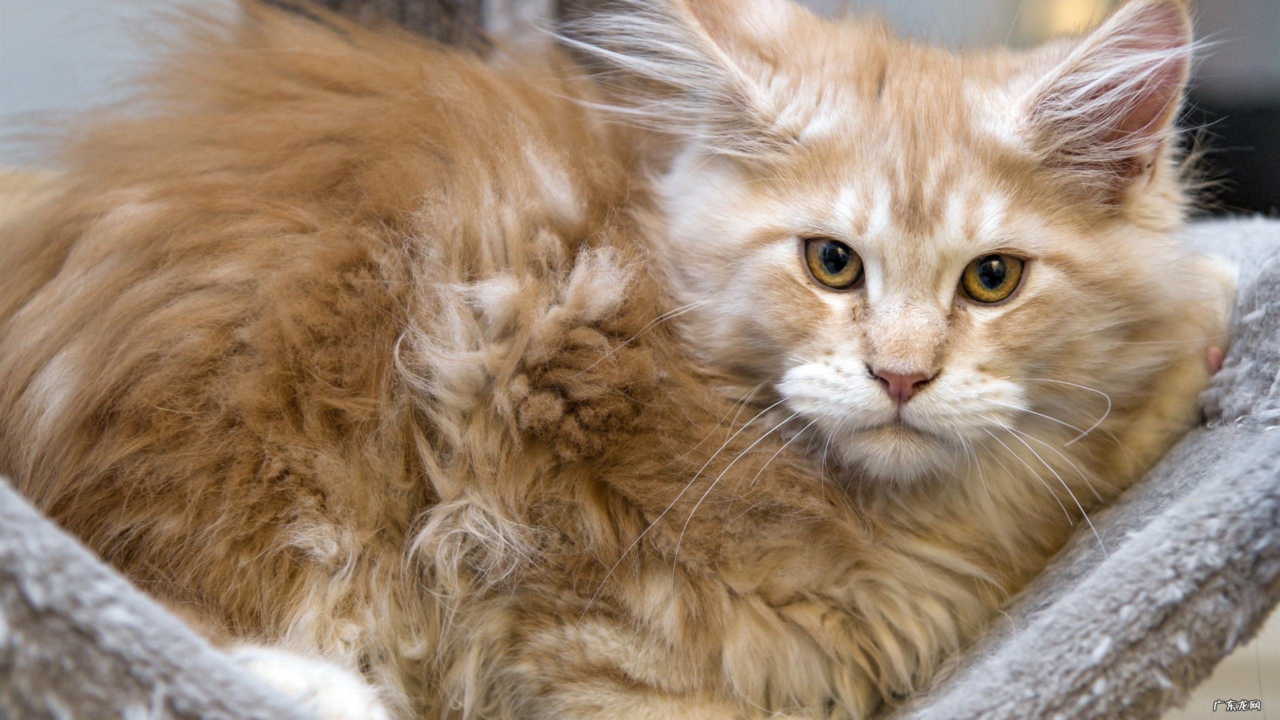 情商低的女性有哪些表现?