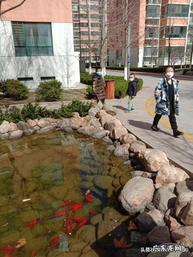 用你的手机拍过哪些你认为宝宝最可爱的表情的相片呢？