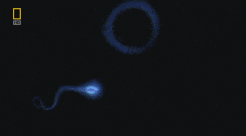 备孕三个月了还是没怀上怎么办？备孕一般多久能怀上？