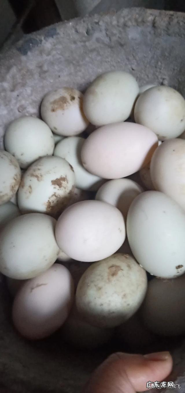 近几年,对你来说国内较好的电影有哪些