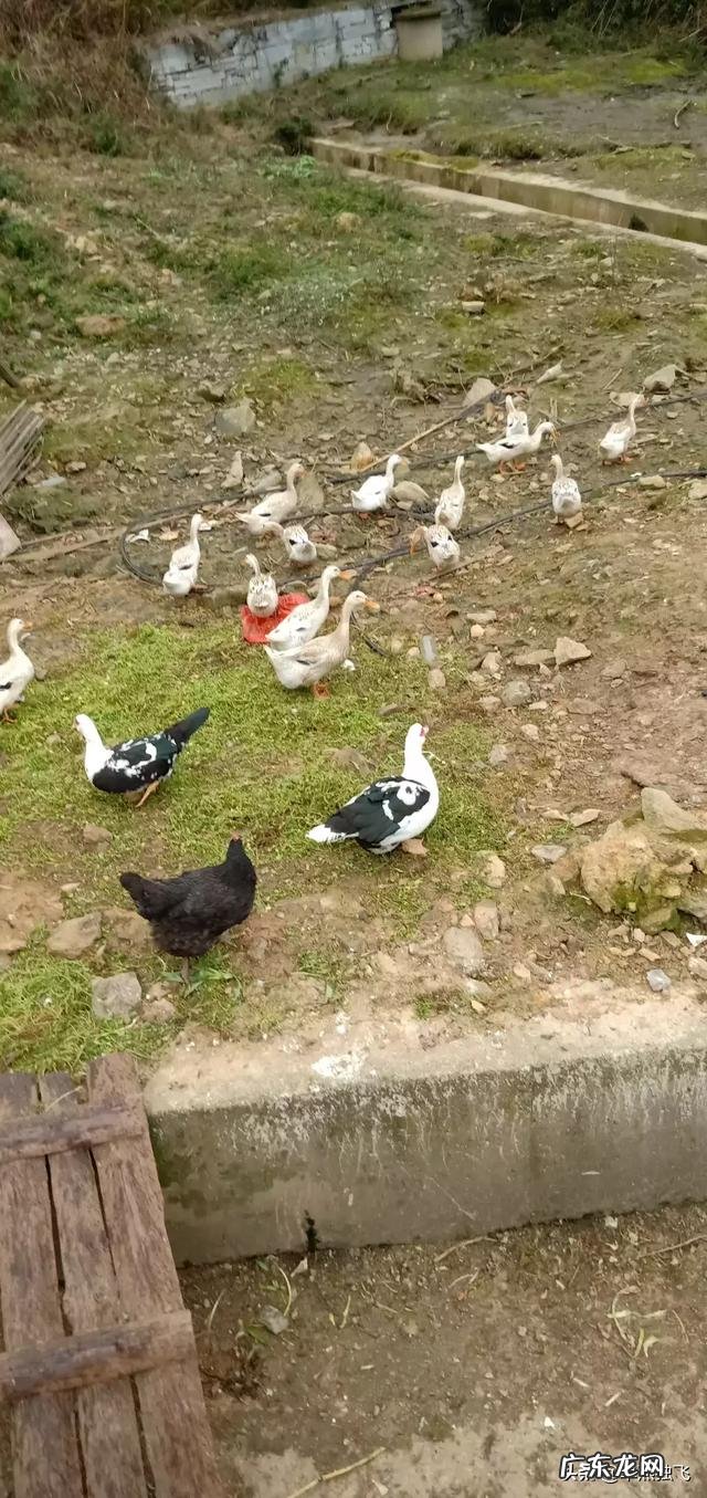 近几年,对你来说国内较好的电影有哪些