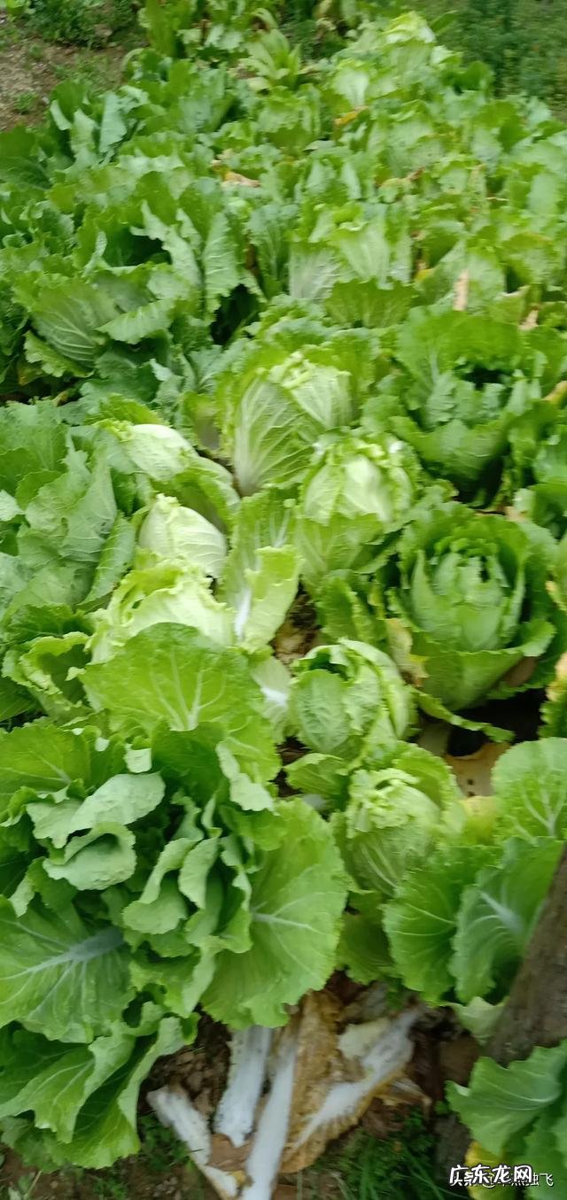 近几年,对你来说国内较好的电影有哪些