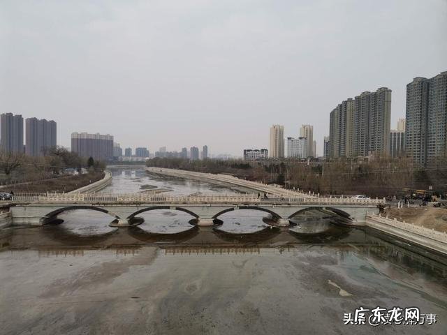 情绪不稳定和肠道微生物有很大关系吗?