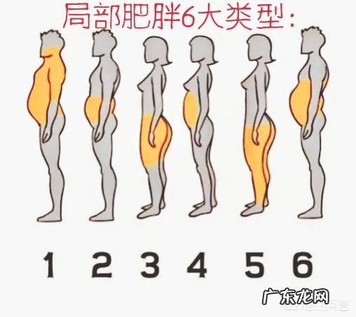体重不过百,体脂也不过20,小肚腩却很大,这是什么原因?