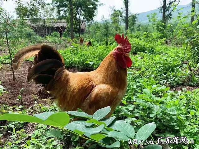 你的家乡有哪些被误解的习惯或特色?