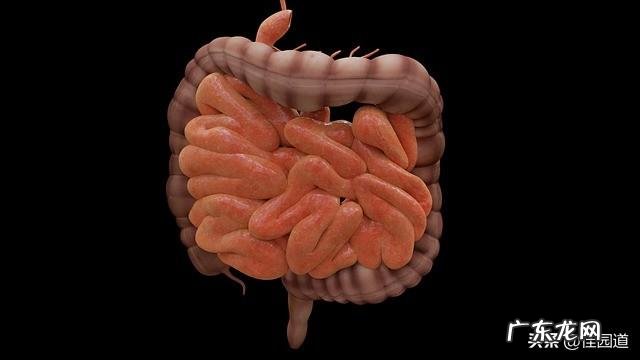 大便干燥黑黑,拉出来一粒一粒,怎么回事