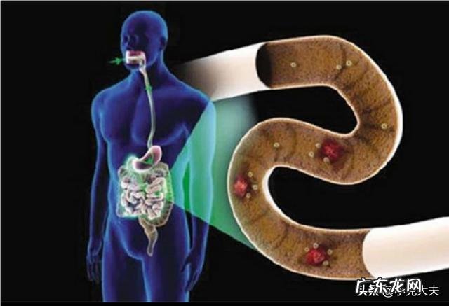 每次吃完饭就拉肚子是怎么回事