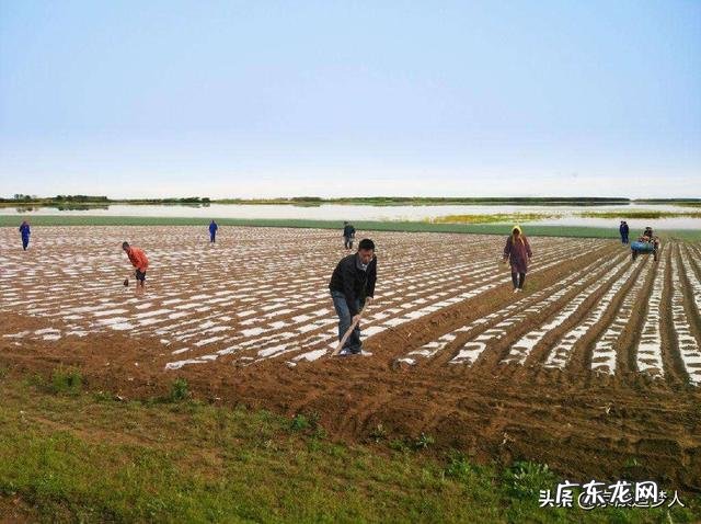 土豆红烧排骨最佳做法是什么有哪些步骤