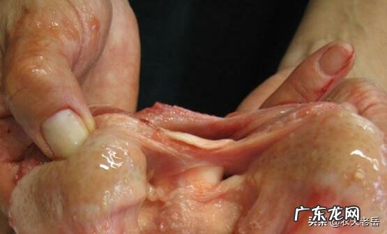 只玩大型单机游戏是买电脑还是买PS4为什么