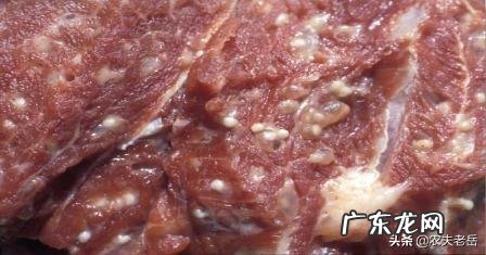 只玩大型单机游戏是买电脑还是买PS4为什么