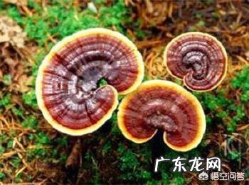 调理肾阴虚、肾阳虚得要多长时间呢