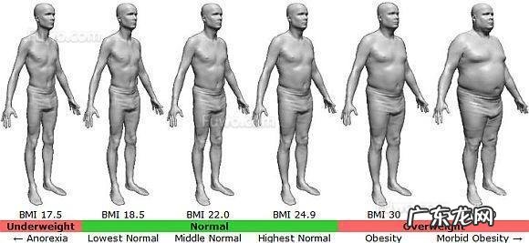 世界卫生组织常用一个重要指标来检测你的身体胖瘦健康程度