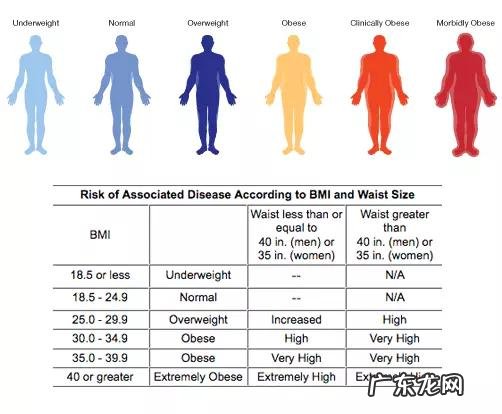 世界卫生组织常用一个重要指标来检测你的身体胖瘦健康程度