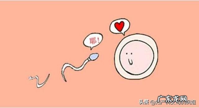 为什么有的人怀孕很难,有的一次就中了