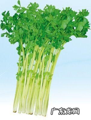 为什么有的人怀孕很难,有的一次就中了