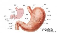 wanneng的网友，买到的中药没有效果。或者被商家提取过的，怎么办
